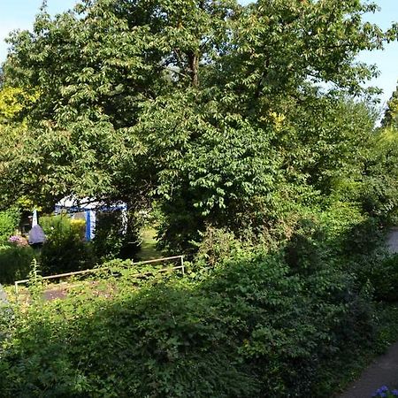 4 Sterne Ferienwohnungen Lavendel Brueggen Bruggen  Exterior photo